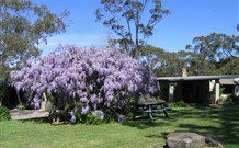 Studio Cottages - Accommodation Brunswick Heads 0