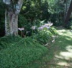 Tallawalla Retreat - Accommodation Brunswick Heads