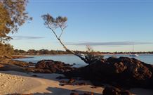 Tree Tops Bed And Breakfast Jervis Bay - Accommodation Brunswick Heads 6