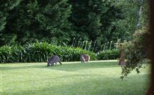 Yallambee Bed And Breakfast - Accommodation Brunswick Heads 4