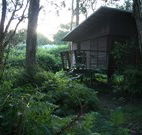 Mount Seaview Resort - Accommodation Brunswick Heads
