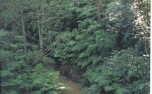 Eco Huts - Jervis Bay Getaways - Accommodation Brunswick Heads 1