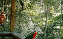 Eco Huts - Jervis Bay Getaways - Accommodation Brunswick Heads 2