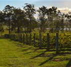 Hidden Treasure - Accommodation Brunswick Heads
