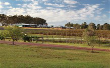 Hidden Treasure - Accommodation Brunswick Heads 7