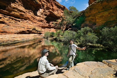 Kings Canyon Holiday Park - Accommodation Brunswick Heads 8