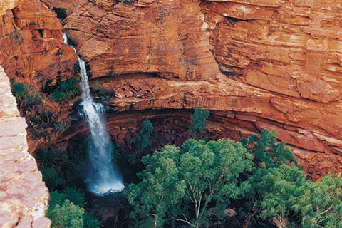 Kings Canyon Holiday Park - Accommodation Brunswick Heads 9