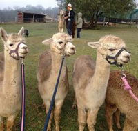 Bunyip Springs Farmstay - Accommodation Brunswick Heads