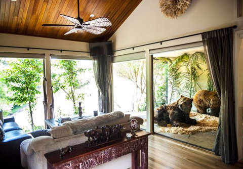 Jamala Wildlife Lodge - Accommodation Brunswick Heads 5