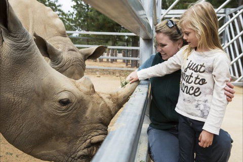 Jamala Wildlife Lodge - Accommodation Brunswick Heads 7