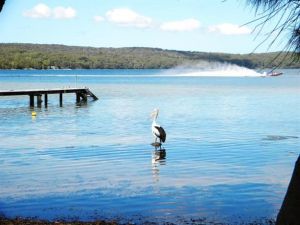 Dungowan Waterfront  Accommodation - Accommodation Brunswick Heads 0
