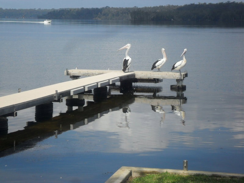 Basin View NSW Accommodation Brunswick Heads