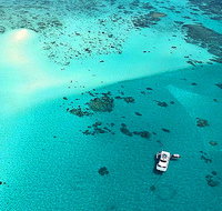 Ocean Free and Ocean Freedom - Cairns Premier Reef and Island Tours - Accommodation Brunswick Heads