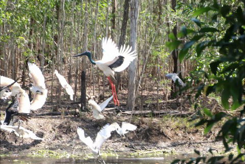 Rakhi Retreat - Accommodation Brunswick Heads 0