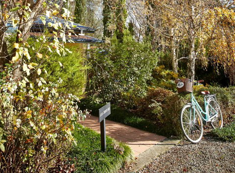 Pizzini's Vineyard Guesthouse - Accommodation Brunswick Heads 5