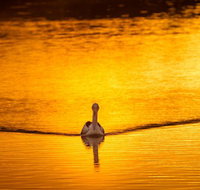 River Shack Rentals - Living the Dream - Accommodation Brunswick Heads