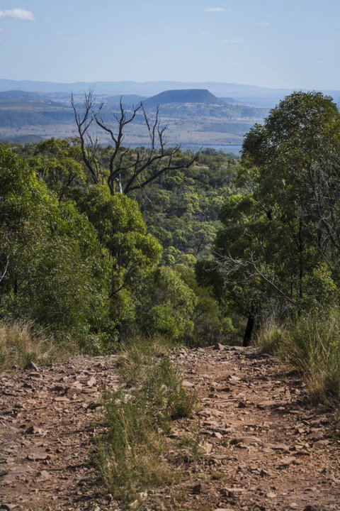 Kroombit Tops National Park Camping Ground - Accommodation Brunswick Heads 3