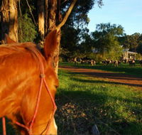 Billa Billa Farm Cottages - Accommodation Brunswick Heads