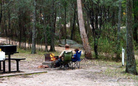 Girraween National Park Camping Ground - Accommodation Brunswick Heads 0
