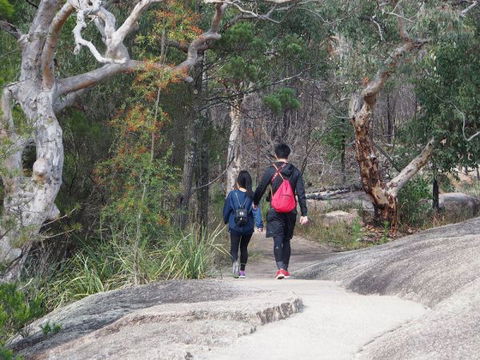 Girraween National Park Camping Ground - Accommodation Brunswick Heads 2