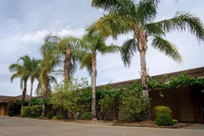 Darling Junction Motel - Accommodation Brunswick Heads 2