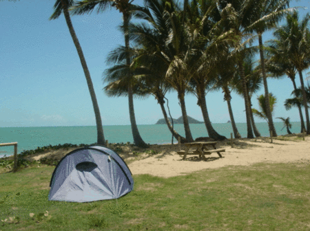 Ellis Beach Oceanfront Bungalows - Accommodation Brunswick Heads 2