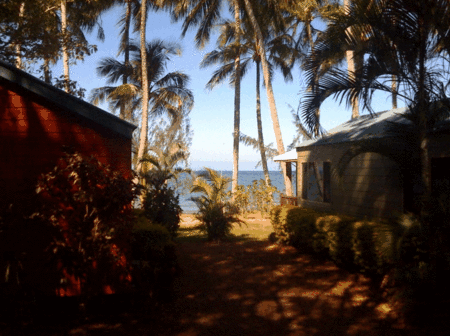 Ellis Beach Oceanfront Bungalows - Accommodation Brunswick Heads 5