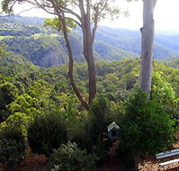 Mt Tamborine Motel - Accommodation Brunswick Heads