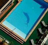 Pacific International Hotel - Accommodation Brunswick Heads