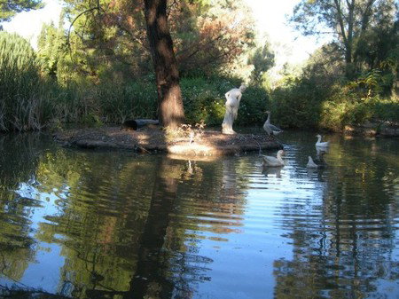 Lyndoch Hill Retreat - Accommodation Brunswick Heads 2