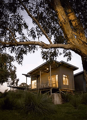 Longview Vineyard - Accommodation Brunswick Heads 1
