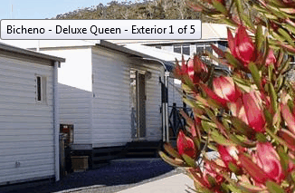 Bicheno Cabins And Tourist Park - Accommodation Brunswick Heads 2