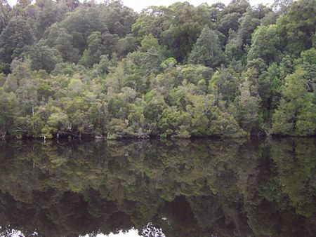 Castaway Holiday Apartments - Accommodation Brunswick Heads 5