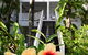 The Reef House MGallery Collection - thumb 2