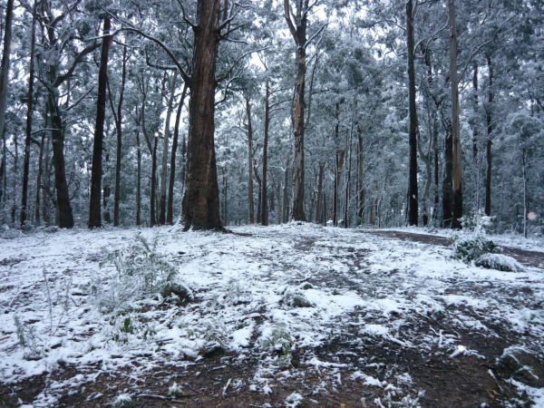 Fumina South VIC Accommodation Brunswick Heads