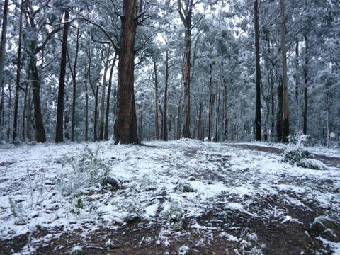 High Peaks Cottages - Accommodation Brunswick Heads 0