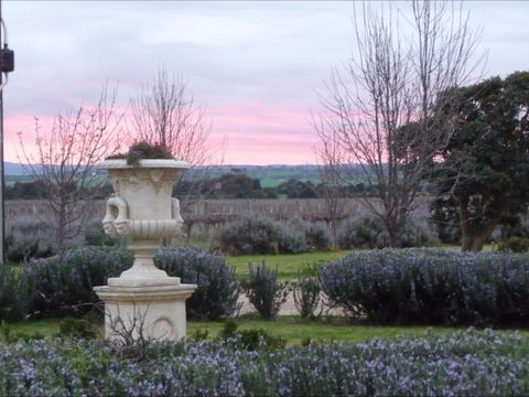 Angas Plains Estate Wines Heritage Suite - Accommodation Brunswick Heads 4