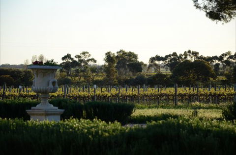 Angas Plains Estate Wines Heritage Suite - Accommodation Brunswick Heads 6