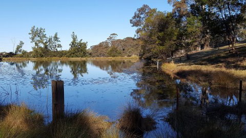 Blueberry Hills On Comleroy - Accommodation Brunswick Heads 8