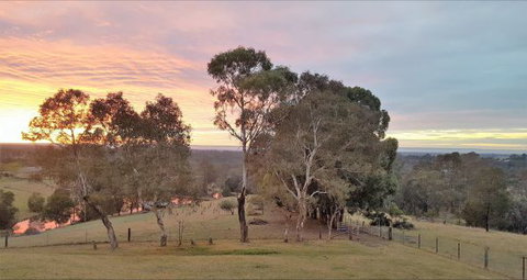 Blueberry Hills On Comleroy - Accommodation Brunswick Heads 9