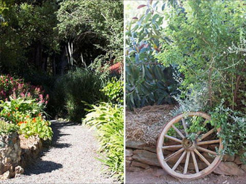 Brown's House Bed & Breakfast - Accommodation Brunswick Heads 8