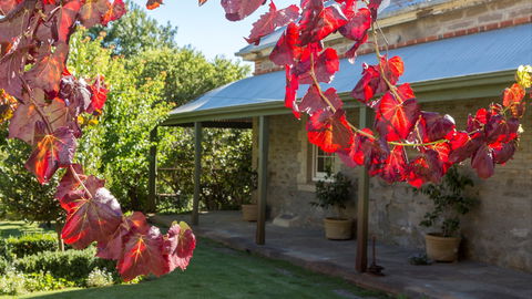Grand Cru Estate Homestead - Accommodation Brunswick Heads 0