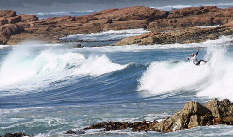 Arties Cottage Accommodation - Accommodation Brunswick Heads 4