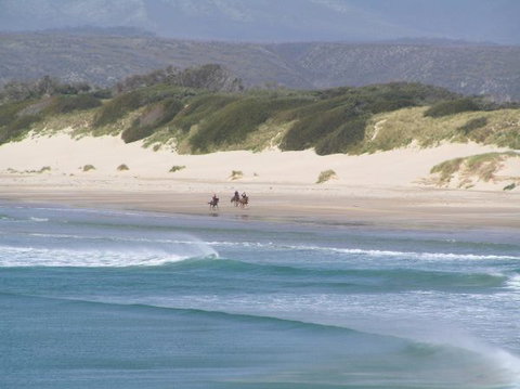 Arties Cottage Accommodation - Accommodation Brunswick Heads 5