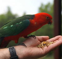 Barrington Tops Escapes - Accommodation Brunswick Heads