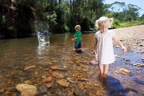 Bright Freeburgh Caravan Park - Accommodation Brunswick Heads 3