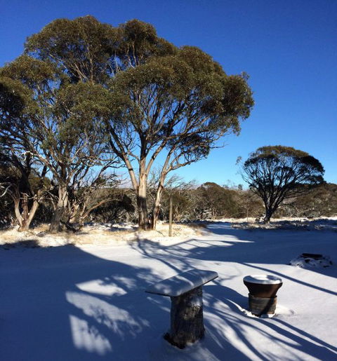Cloud 9 Alpine Lodge - Accommodation Brunswick Heads 9