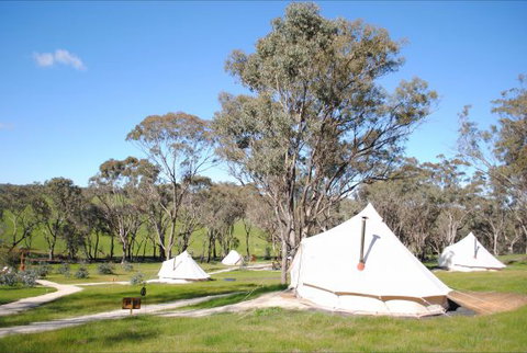 Cosy Tents - Accommodation Brunswick Heads 5