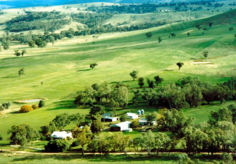 Daisyburn Homestead - Accommodation Brunswick Heads 0