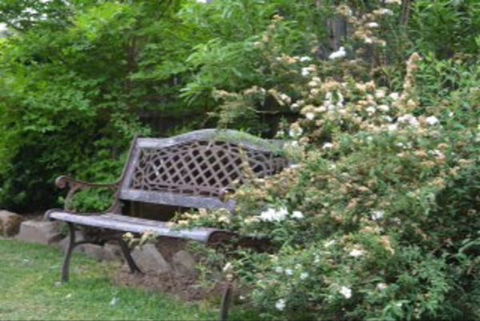 Garden Cottage B And B - Accommodation Brunswick Heads 4